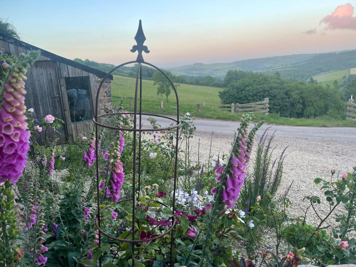 Slowley Farm Cottage Luxborough Dış mekan fotoğraf